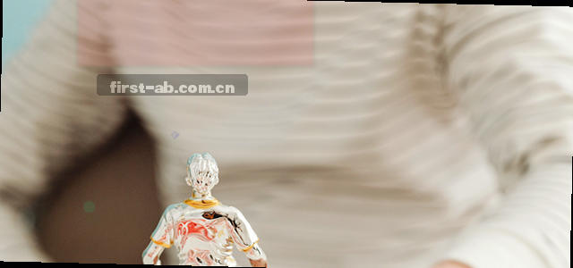 数据中心流动的光纤构成服务地图骨架